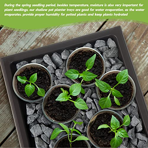 Pinkunn 6 Pcs Bonsai Humidity Tray for Indoors and Outdoor Rectangular Drip | 11 x 8 Inch,bonsai tray,bonsai pots for Bonsai Succulents Cactus, Plastic material, Catches Water, Stone Not Included - size: 11 x 8 Inch