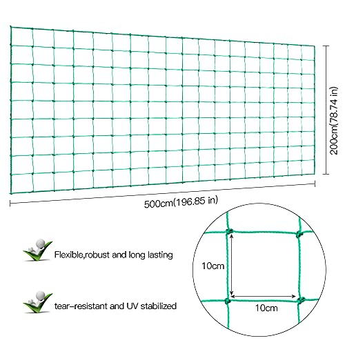 Trellis Netting, PDGROW Climbing Plant Support Net Garden Pea Bean Neting, Heavy-Duty PE Trellis Net for Cucumber, Tomato, Vegetables, Fruits, Sweet Pea Plants (6.6' x 16.4'Ft) - size: 6.6' x 16.4'
