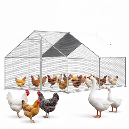 10 x 13 x 6.6 ft Large Chicken Coop, Heavy Duty Galvanized Metal Walk in Chicken Run with Roof Cover and Locking Door, Outdoor Poultry Pen for Chickens Ducks Rabbits - size: 10 x 13 x 6.6 ft