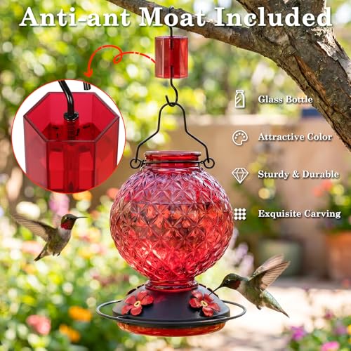 25 OZ Glass Hummingbird Feeder for Outdoors, Leak Proof Hummingbird Feeder with Ant Moat, 4 Bee Resistant Feeding Ports, Easy Clean Wide Mouth Design, Hanging Nectar Feeder, Red - color: Red - 25oz