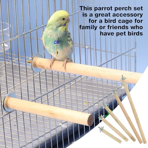5Pcs Wood Bird Perch Stand Set – 10-30 cm Parrot Cage Stick Natural Branch for Cockatiels Parakeet, Climbing Rod Paw Grinding Toy