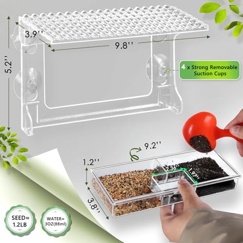 Gbekery Window Bird Feeder for Viewing with Suction Cups & Detachable Tray | Clear Acrylic Window-Mounted Feeder, Removable Separate Seed & Water Tray with Drainage Holes, Ideal Gift for Bird Watchers