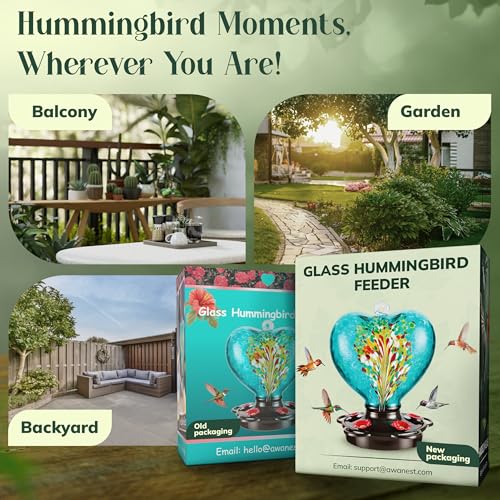 Hand Blown Glass Hummingbird Feeder for Outdoors All Season Use - 28 Fl. Oz. Leak Proof Hummingbird Feeder with Rust Proof Base - Includes Ant Moat, Ant & Bee Proof (Teal) - color: Teal