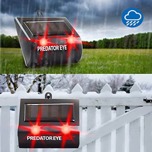 ASPECTEK Predator Eye PRO Solar Animal Repeller - 2 Pack, Red Flashing Light Deterrent for Cats, Dogs, Foxes, Birds, Skunks, Deer and Raccoons, Outdoor Pest Control for Garden, Farm, Fence and Coop - style: Predator Eye Pro