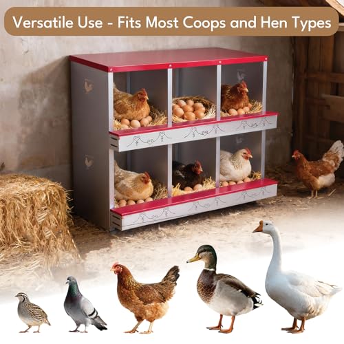 Chicken Nesting Boxes Rollout Egg Laying Collection 2Compartment Red - color: Red, size: 2 HOLE