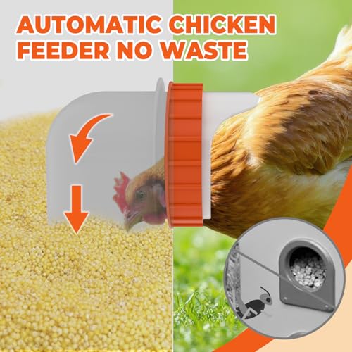 10 Port Automatic Chicken Feeder, No Waste Poultry Feeder with Lid | 85 LBS Large Gravity, Weatherproof Lid, Locking Latch, Convenient Handle, Heavy Duty Automatic Metal Chicken Feeder - size: 10 Ports (85-120 LBS)