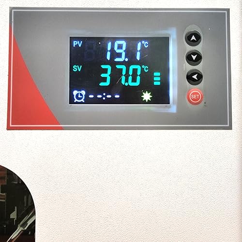 Lab Incubator with Digital Display and Control, Stainless Steel Chamber, RT+5~65°C, 10L Capacity