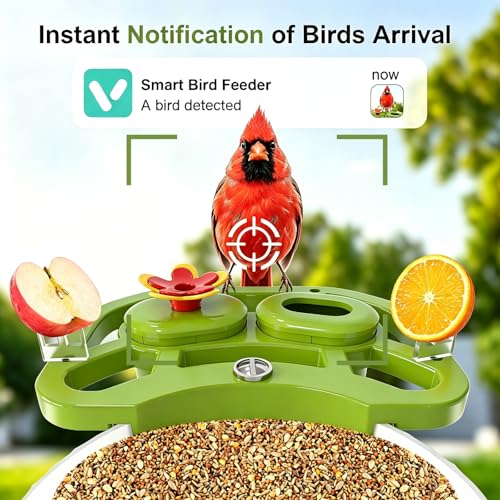Smart Bird Feeder with Camera Solar Powered, AI Species Identification, 2K HD Video, Instant Arrival Alerts, Weatherproof Design for Outdoor, Best Gift for Bird Lovers(Green) - color: Green