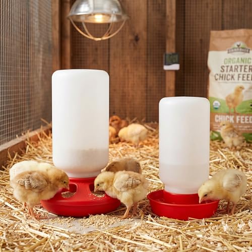 Chick Feeder and Waterer Set, Chicken Quail Feeder and Waterer Chicken Coop Accessories 8-Hole Compact Brooder Supplies for Chicks, Ducklings and Small Poultry