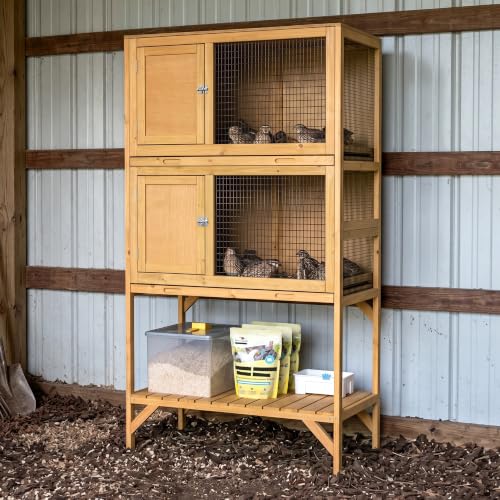 GDLF Wooden Quail Cage Indoor, 2-Tier Quail Coop with Pull-Out Trays | Ideal for indoor quail housing, with a pull-out tray, open shelving, and ventilated panels