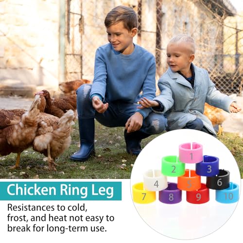 300Pcs 8mm Coturnix Quail Leg Bands Baby Chick Birds Chicken Identification Bands Rings, Poultry Foot Rings Leg Band Clip-on Ring for Poultry Identification