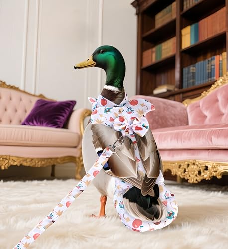 Chicken Diapers for Hens, Roosters, Diapers for Ducks with Walking Leash, Reusable Pet Duck Diapers Chick Clothes Waterproof Poultry Nappies for Geese Pet Ducks Chicken-Mushroom, S - size: S