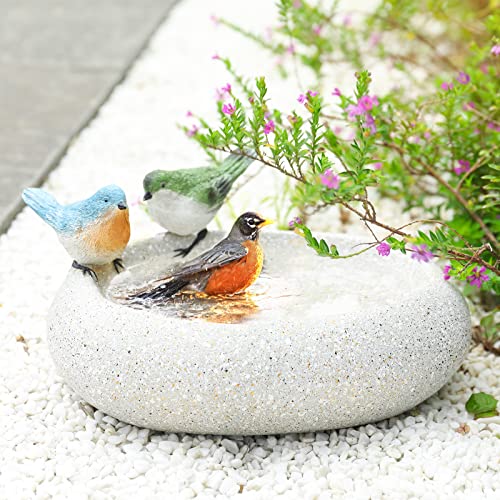 Bird Bath for Outdoors, Resin Garden Round Birdbath Bowl Yard Decor | Antique Bird Water Bowl, Tabletop Vintage Round Bird Baths and Bird Feeder that Attracts Birds for Outside Yard Table Decor - color: White-1