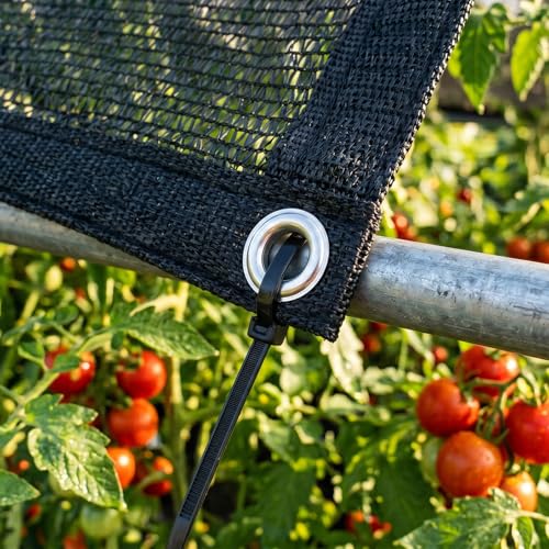 Royal Shade 50% Black Shade Cloth 12FT x 20FT Mesh Tarp with Grommets for Garden Patio, Plant Shading, Greenhouse, Pergola, Chicken Coop, Dog Kennel, Lawn (We Make Custom Size) - color: Black, size: 1 2' X 2 0'