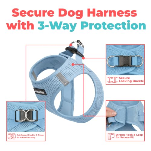 Voyager Step-in Air Dog Vest Harness - Baby Blue, X-Small | 13 - 14.5" in Chest, Reflective Bands, All Weather Breathable Air Mesh, Cats Compatible, Lightweight, Fast Drying - color: Harness (Baby Blue), size: XS (Chest: 13 - 14.5")