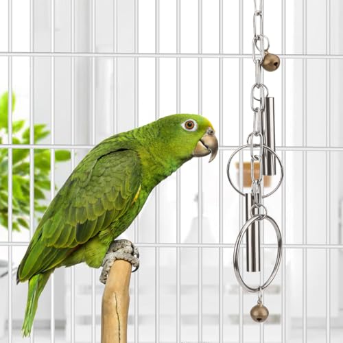 Hypeety Stainless Steel Bird Bell Toys Heavy Duty Hanging Bell Toy for Cage | Rustproof, durable, safe for metal cage, easy-hanging, with 2 rings, for cockatoos/macaws/african grey/large parrots and bird - color: Bells+Rings