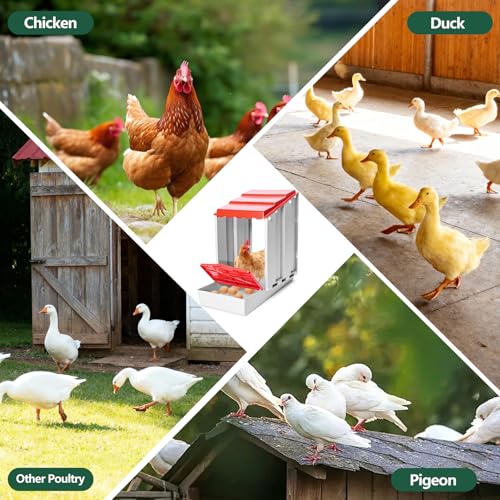 Chicken Nesting Box,Single-Pack Freely Combinable & Easy to Assemble Nesting Boxes for Chickens - size: Single