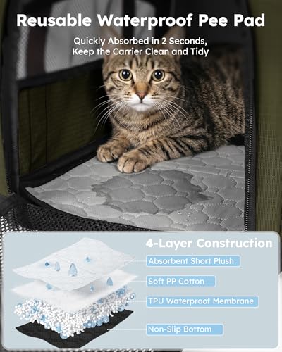 Pecute Cat Carrier,Top Expandable Dog Crate for Travel, Green | 5mm Anti-Collapse Steel Frame, Soft Mesh, Vet Visits, Foldable Travel Crate,Outdoor Hammock, Leakproof Pee Pad & Bowl - color: Green