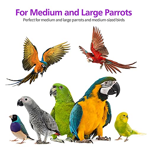 2 Pack 20in Large Parrot Toy, Multicolored Natural Wooden Bird Chewing Toys | for Amazon Parrots Large Macaws, African Grey - size: 2 Pack