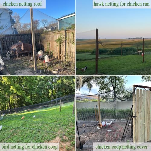 Bird Netting for Chicken Coop 50x50 Ft, 1" Mesh Aviary Netting | Woven Chicken Run Roof Cover, Protects Against Hawks & Predator, Heavy Duty Bird Net for Fruit Trees & Garden Protection - size: 50x50Ft-1"