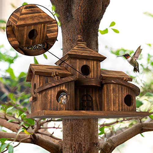 COLEBA Bird Houses for Outside,Outdoor 5 Hole Bird House Room for 5 Bird Families Bluebird Finch Cardinals Hanging Birdhouse for Garden