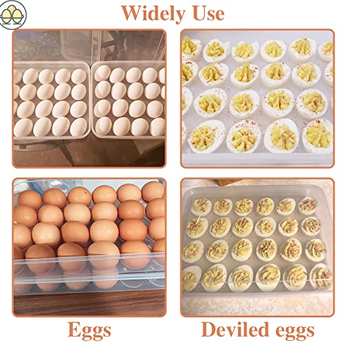 Anyumocz 2 Pack Covered Egg Holder,Clear Egg Holder Storage Container,Stackable Plastic Refrigerator Egg Trays for Deviled Egg,Protect and Keep Fresh(48 Eggs) - style: 1-Layer 48eggs