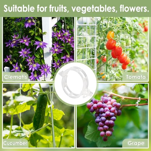 300PCS Plant Support Clips, Reusable Tomato Clips for Climbing Plants | Secured Plastic Tomato Plant Clips Garden Trellis Clips Plant Fixing Clips for Tomato Grape Cucumber Vine