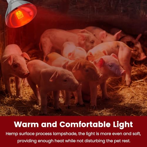 DaToo Infrared Heat Lamp Bulb for Chickens Red Heat Lamp Flood Light Heat Lamp Bulb 150 W Heating Bulbs for Brooder Coops Pets Chicks Reptiles Food Service (1 Pack) - size: 1 Pack