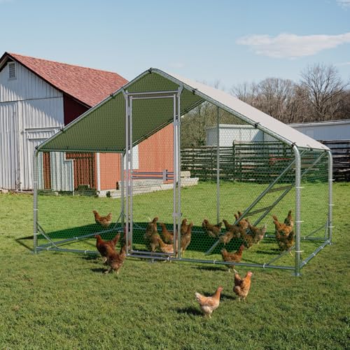 Large Metal Chicken Coop, Outdoor Chicken Run with Cover, 10 x 6.5 x 6.5 FT | Heavy-Duty Poultry Enclosure & Chicken Pen with Split Doors, Galvanized Steel Frame, Free Wire Mesh Fence and Roosting Ladder - size: 10' x 6.5'