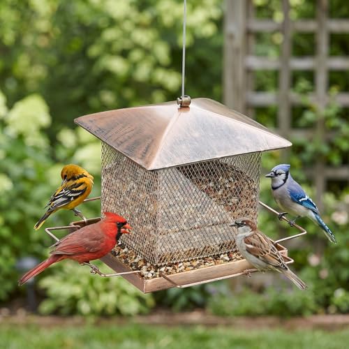 Bird Feeder, 3.5LB Large Capacity Bird Feeders for Outdoor Hanging | Heavy Duty Metal, Waterproof, Drain Holes, 4 Perches, Easy to Fill, Wild Birdfeeder, For Garden Yard Outside Backyard - size: Square, 3.5 pounds