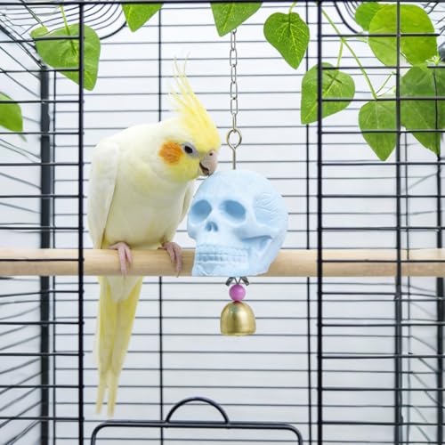 Skull Bird Toy - Natural Calcium Mineral Beak Grinder with Jingle Bell - Small Bird Cage Accessory for Parakeets, Budgies, Cockatiels, Lovebirds, Finches