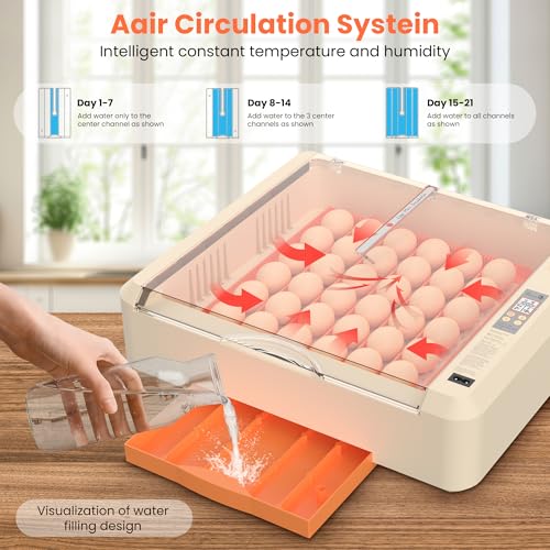 Egg Incubator with Auto Turning and Humidity Control, 36-60 Eggs Hatcher with External Drawer Water Tank, Adjustable Space for Chicken Duck Goose Quail Turkey Eggs, Orange