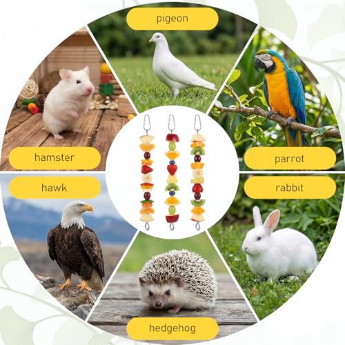 3 Pcs Bird Food Holder, Stainless Steel Bird Feeder for Cage, Parrot Fruit Vegetable Skewer, Parakeet Feeder Toys Cage Accessories, Hanging Foraging Toys for Macaw Parakeet Parrot Budgie Birds