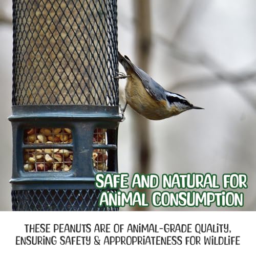 Sneaky Mango Raw Peanuts in Shell - 2 Pounds – All-Natural Food for Squirrels, Deer, Birds, and Other Wildlife Animals – Grown in The USA for Healthy Nutrition