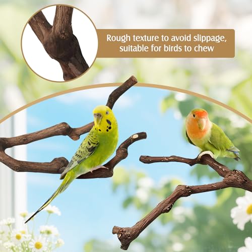 PINVNBY Natural Parrot Perch Grape Wood Bird Stand Pole Parakeet Paw Grinding Fork Chewable Climbing Branches Toy Bird Cage Accessories for Budgies Conures Cockatiels Lovebirds (2 PCS, 5.9IN) - size: 5.9in