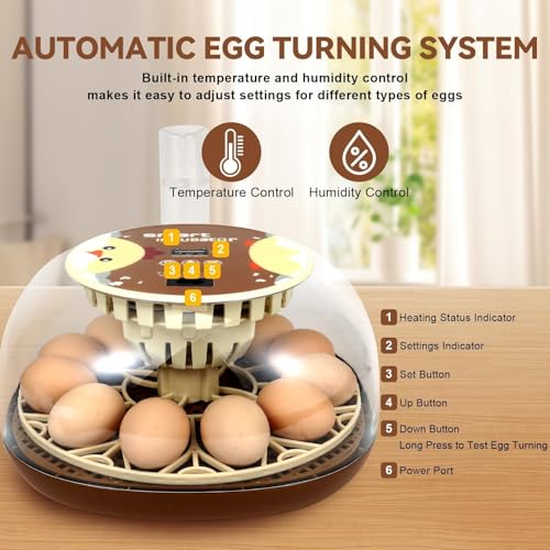 Nest I - 12 Egg Incubator for Beginners, Auto Egg Turning, Consistent Humidity with Auto-Refill Water Bottle & Stable Temp Control for Hatching Chicken, Goose, Duck, Quail, Pigeon, and Turkey - size: 12 Egg [Brown]