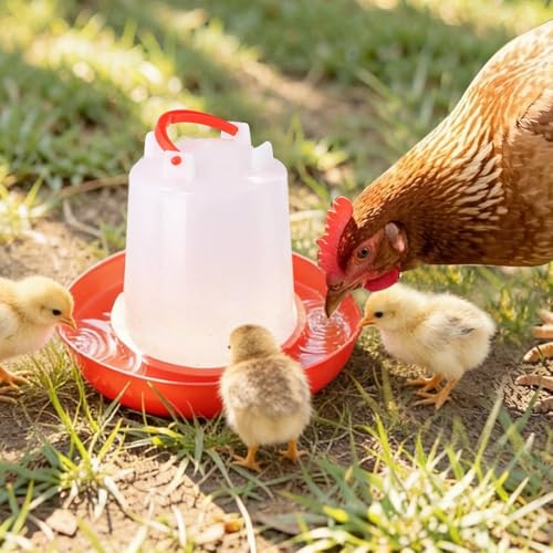 4-Pack Chick Waterer, 1L Poultry Water Feeder, Poultry Drinker with Handle, Chicken Water Dispenser，Chicken coop Water Feeder for Chickens, Turkeys, Ducks and More