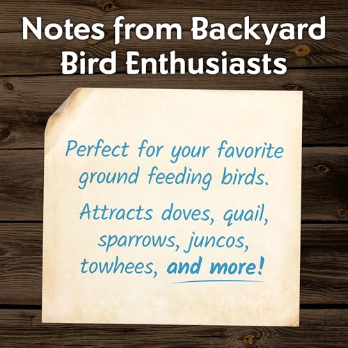 Morning Song Dove & Ground Feeding Wild Bird Seed, 12 lb | Dove, Quail & Pigeon Wild Bird Food for Outside Feeders - size: 12 Pound (Pack of 1)