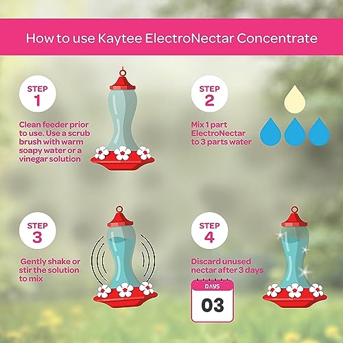 Kaytee Hummingbird ElectroNectar Wild Bird Food, 16 oz Concentrate 2 Pack, Makes 128 oz of ElectroNectar - size: 16 Fl Oz (Pack of 2), style: 16 Fl Oz Concentrate (Pack of 2)