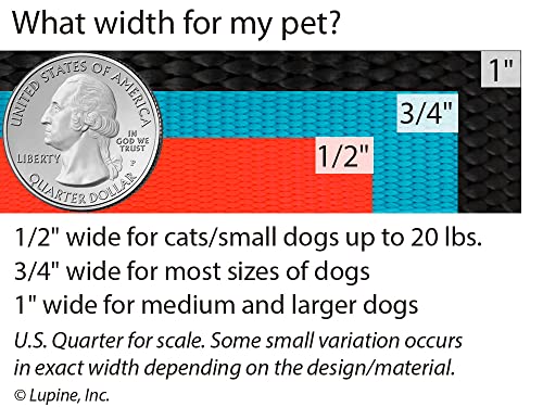 Coupler for Walking Two Medium or Larger Dogs Together, 1" Wide Blaze Orange by Lupine, 24" Long - size: 1" wide; 24" long