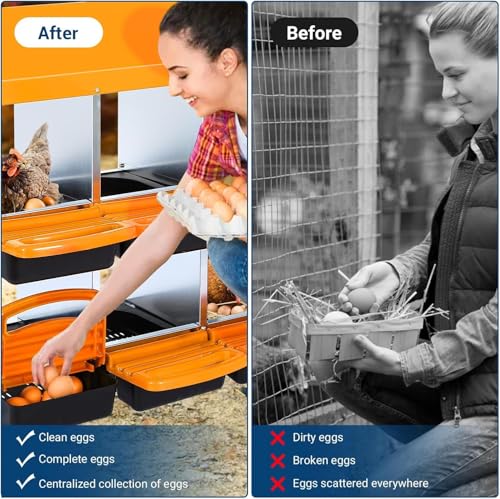 Chicken Nesting Box,Chicken Egg Laying Box with 6 Compartments, Roll Away Eggs Laying Boxes, Nesting Boxes, Indoor & Outdoor Use,Easy Egg Collection, Easy Cleaning - color: Orange, size: 6 holes