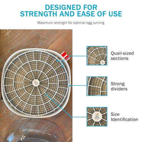 Durable Egg Tray for Nurture Right 360 Egg Incubator, 48 Quail/Bird Eggs - size: 12.3"L x 12.3"W x 0.7"H
