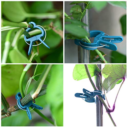 PERSZEN 60PCS Plant Clips 2 Sizes Adjusting Reusable Garden Plant Supports Clips for Supporting Stems of Flower Vine Vegetables Tomatoes Climbing