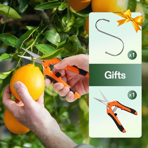 VIVOSUN 2-Pack 8-Layer Mesh Drying Rack Hanging Design with Green Zippers for Dehydrating, Indoor and Outdoor (Pruning Shears Included) - size: 8 Layer, style: 2 Pack