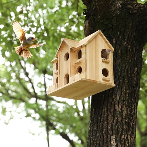 10-Hole Wooden Bird House for Outside, Hanging Birdhouse | Cedar wood backyard birdhouse for small wild birds, ready to hang with entry holes and 11 x 7 x 9 in size