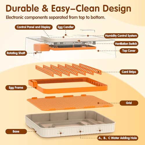 56 Egg Incubators for Hatching Eggs with Auto Egg Turner, Automatic Humidity & Temperature Control, LED Candle Light, Hatch Days Display, 360° View for Chicken, Duck, Goose, Quail, Bird Eggs - size: 20.0"L x 8.0"W x 18.0"H
