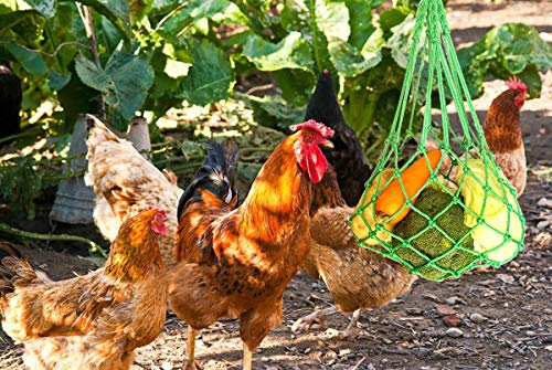 Chicken Vegetable String Bag Poultry Fruit Holder Chicken Cabbage Feeder Treat Feeding Tool with Hook for Hens Chicken Coop Toy for Hen Goose Duck - color: Green Orange