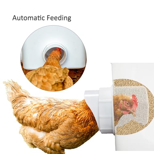 Automatic Chicken Feeder Chicken Feed Container Hanging Chicken Feeder Rainproof Poultry Feeder Bucket (Frosted) - color: Frosted