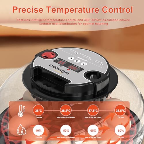 Egg Incubator for Hatching Eggs, 12-Egg Automatic Chicken Incubator | Small Incubator with LED Candler, Auto Turn & Humidity Control for Quail Duck Goose Eggs, STEM Classroom, Farm, 360° Airflow