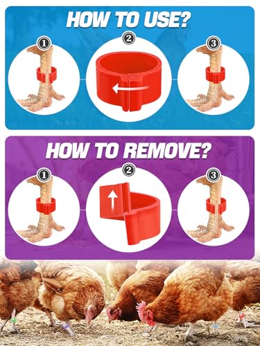 MEWTOGO 0.6in 100 Pcs Numbered Chicken Leg Identification Bands | Openable Reusable Readable 1-100 Poultry Leg Rings for Ducks Goose Gamefowl Turkey, Chicken Coop Accessories - size: 0.6in
